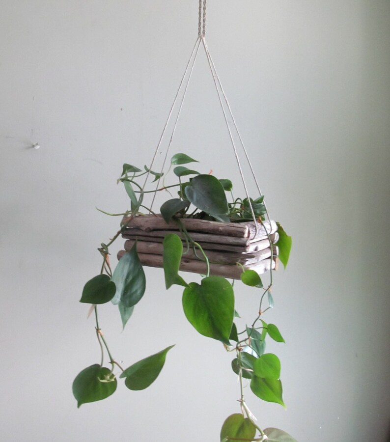 Driftwood Hanging Planter Rectangular Hanging Planter Etsy