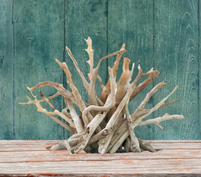 Driftwood Sculpture Driftwood Table Decor Driftwood Table Etsy