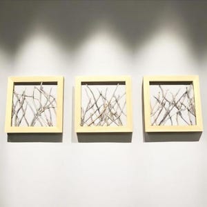 May include: Three framed pieces of art with a light wood frame and a white background. Each frame contains a collection of twigs arranged in a random pattern.