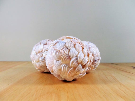 Driftwood Decorative Ball Orb 6/" Sphere Table Top Centerpiece Nautical Home