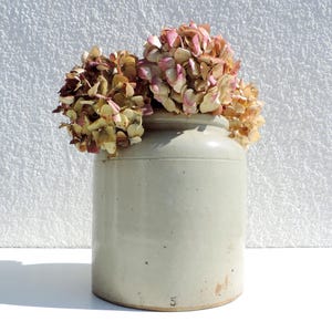 以下が含まれることがあります： 底に「5」の数字が書かれた、大きなオフホワイトの陶器の壺。壺はピンクと白の乾燥したアジサイでいっぱいです。