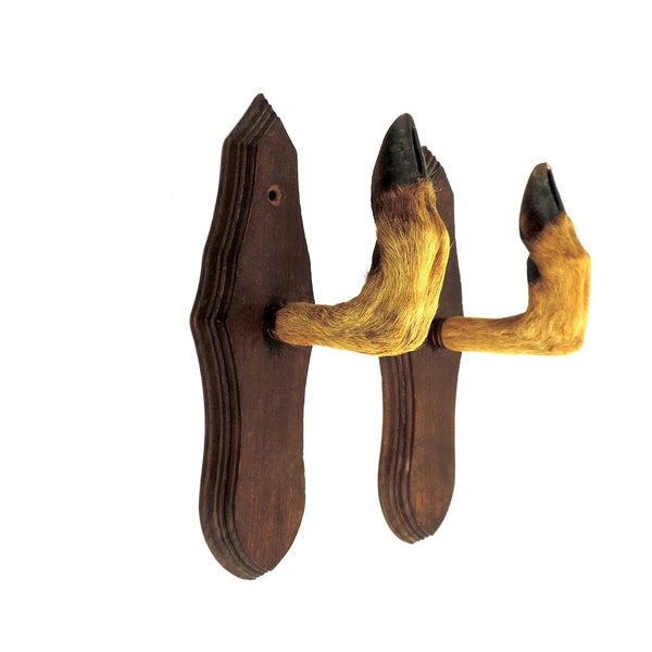 Deer Hooves Etsy