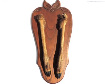 Opgezette hertenhoeven gemonteerd op een houten plaquette, Franse opgezette hertenpoten