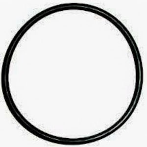 May include: A black rubber O-ring seal.