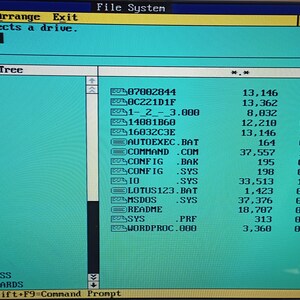 May include: A computer monitor displaying a DOS directory tree interface. The screen shows file names, sizes, and dates. The interface is in shades of green and black, with text reading "File Options Arrange Exit".