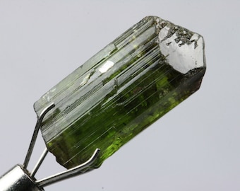 Tourmaline Crystal, Tourmaline, Crystal, Brazil, 2.1 grams E395