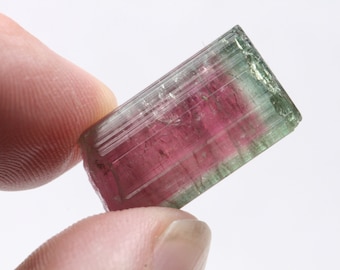 Tourmaline, Watermelon Tourmaline, Cruzeiro Mine, Minas Gerais, Brazil 5.1 grams E750