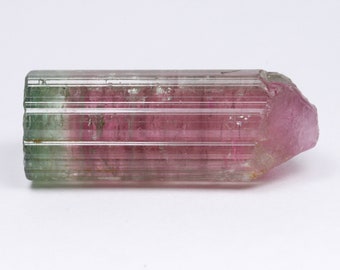Tourmaline, Watermelon Tourmaline, Cruzeiro Mine, Minas Gerais, Brazil 6.5 grams E830