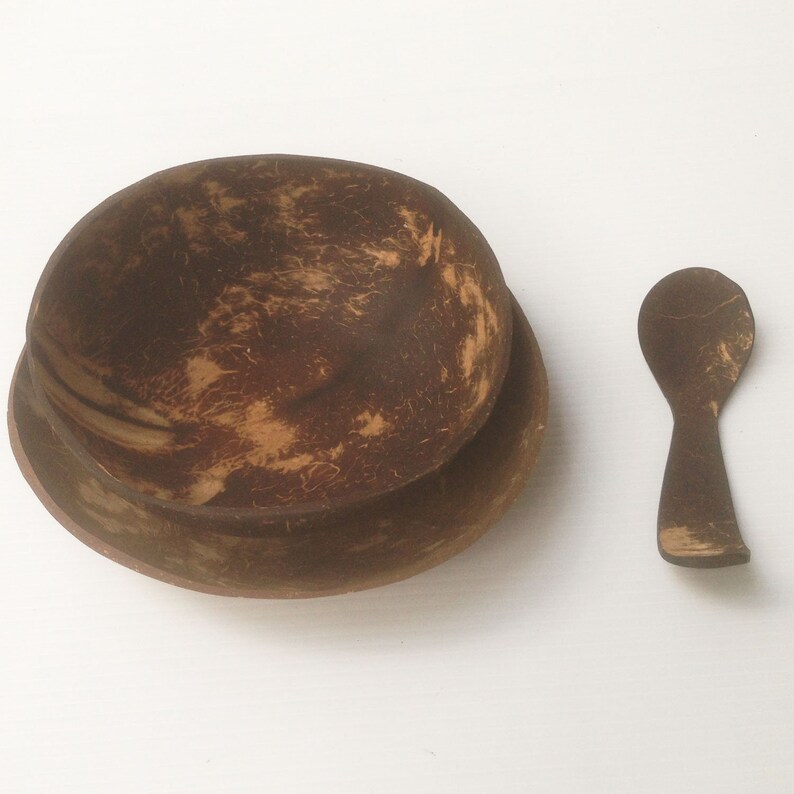 set oconut bowl 4 sets coconut shell with sponos 4 size 5x2 and 5x1 inch,vegan bowl,spa bowl,vegan,acai bowl,wedding gift,wooden bowl