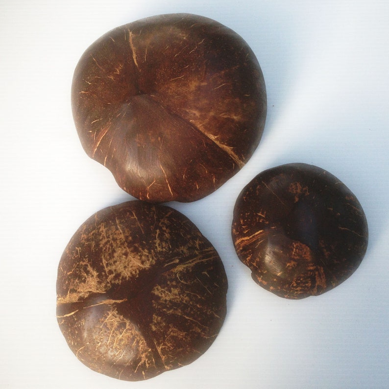 Coconut bowl flowers shape set 3 bowls,size 4-6 x 1.5-2 inch,candle bowl,spa bowl vegan,gift,wooden gift,birthday gift,easter,wedding gift
