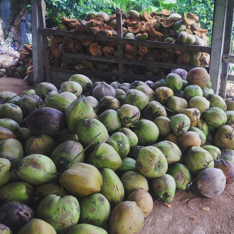 Wholesale 30 coconut shell bowls small size 8 x 5 cm fill 5 oz price include shipping,100/% no coating