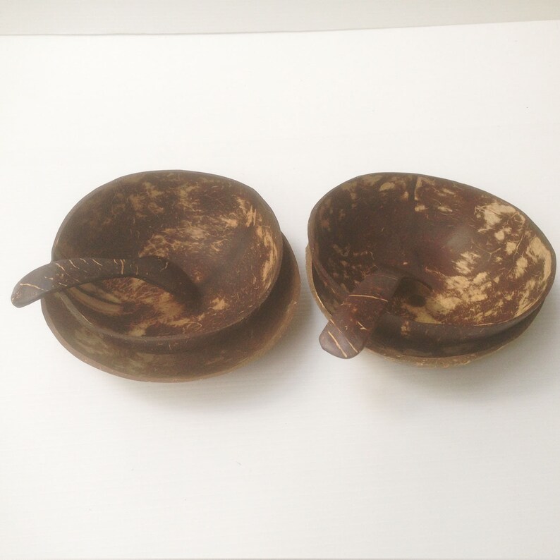 set oconut bowl 4 sets coconut shell with sponos 4 size 5x2 and 5x1 inch,vegan bowl,spa bowl,vegan,acai bowl,wedding gift,wooden bowl