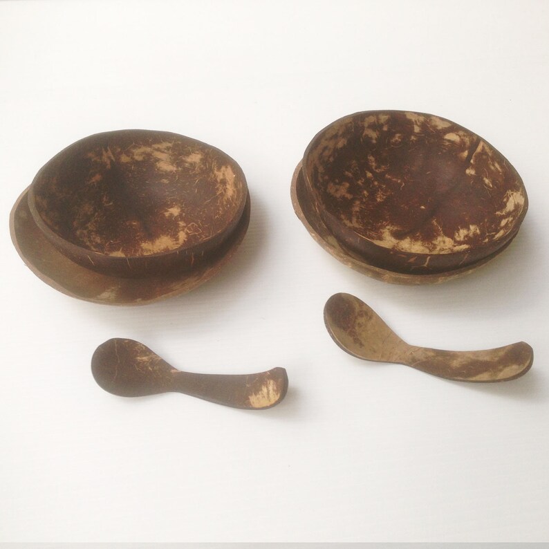 set oconut bowl 4 sets coconut shell with sponos 4 size 5x2 and 5x1 inch,vegan bowl,spa bowl,vegan,acai bowl,wedding gift,wooden bowl
