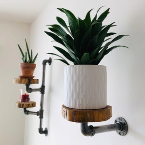 Rustic Industrial Pipe Floating Plant Shelf hanger