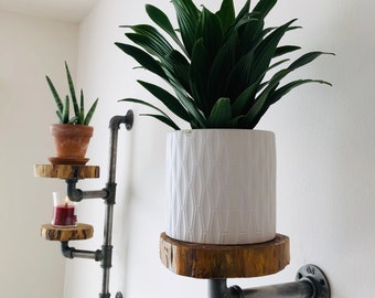Natural Rustic Industrial Pipe & Wood Plant Shelf