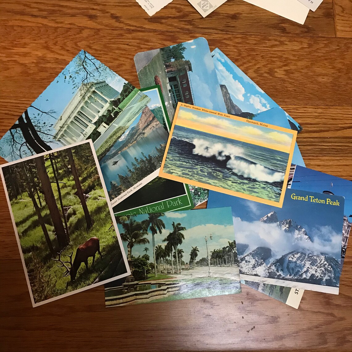 Assorted United States Post card Lot of 10 postcards Etsy