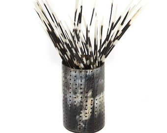 Púas de puercoespín africano: Sudáfrica, 15-56 cm para manualidades