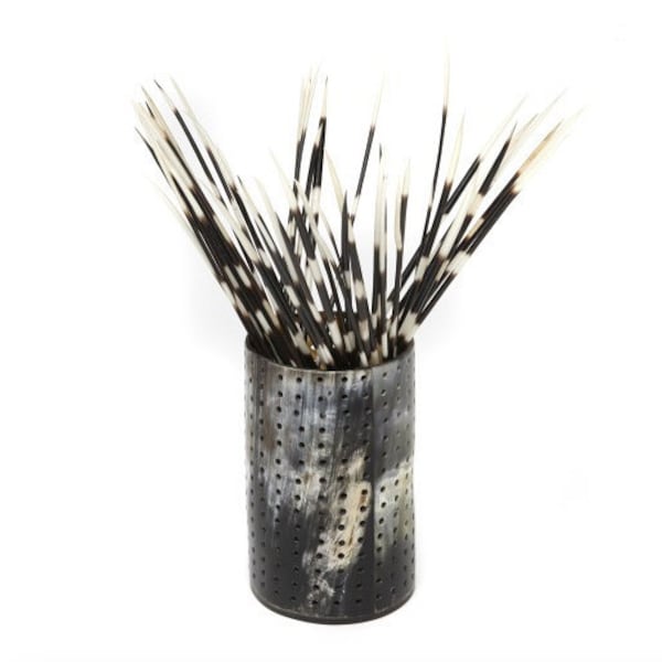 Quill African Porcupine Quills South Africa Fat Porcupine Quill South Africa Thin and Very Thin Porcupine Quills 6 to 22 inches