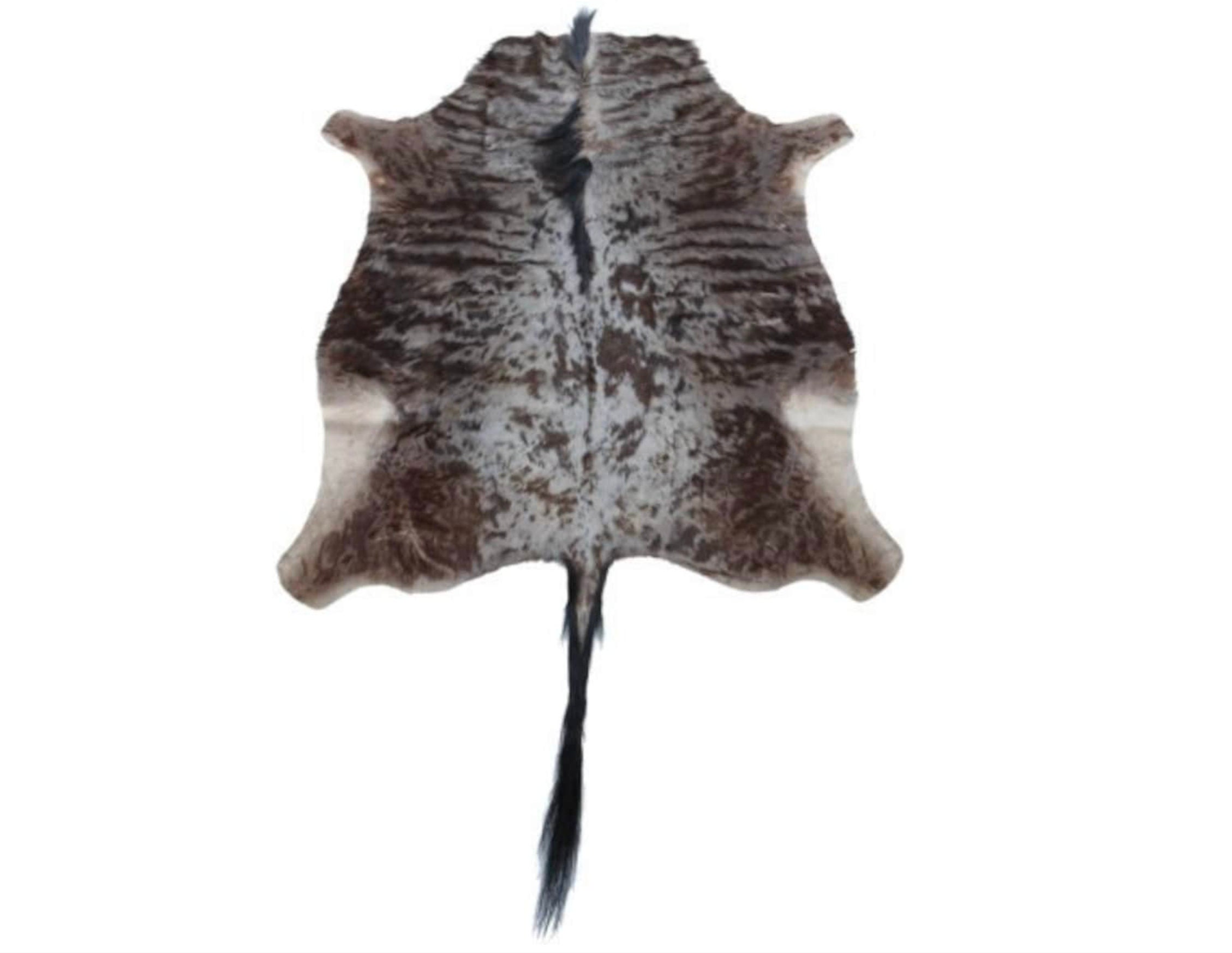 African Blue Wildebeest Hide: South Africa, Rustic Safari Decor (6
