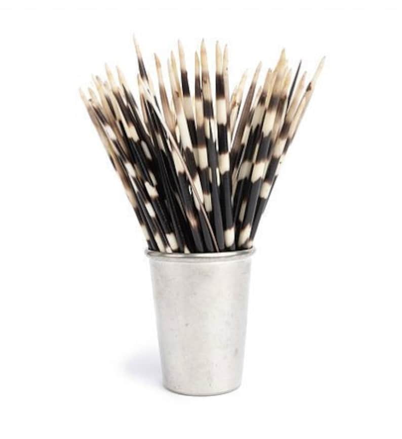 African Porcupine Quills Lot of 3