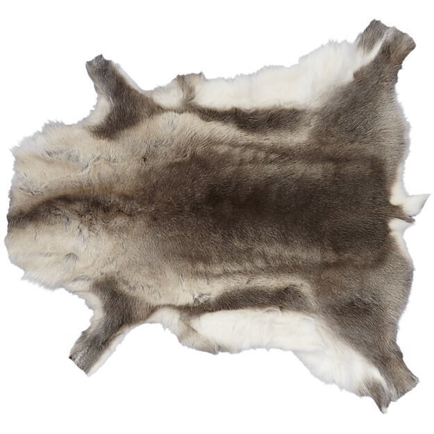 XXXL スカンジナビア産トナカイ皮 北欧産トナカイ皮 フィンランド産