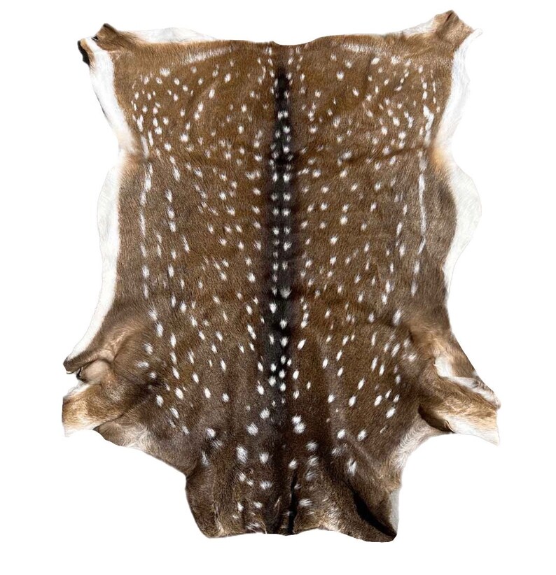 Op de afbeelding: Een bruin en wit gevlekt hertenhuidkleed. De huid is gelooid en heeft een natuurlijke, rustieke uitstraling.