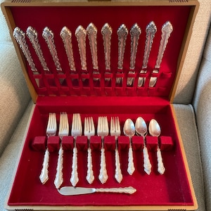 International Deep Silver Delicato Silver Plate 42 Piece Set with Box