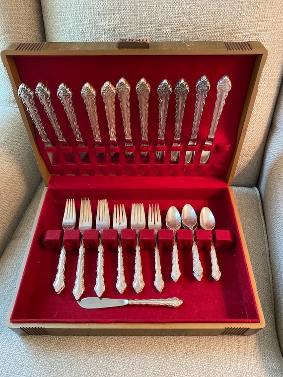 International Deep Silver Delicato Silver Plate 42 Piece Set With
