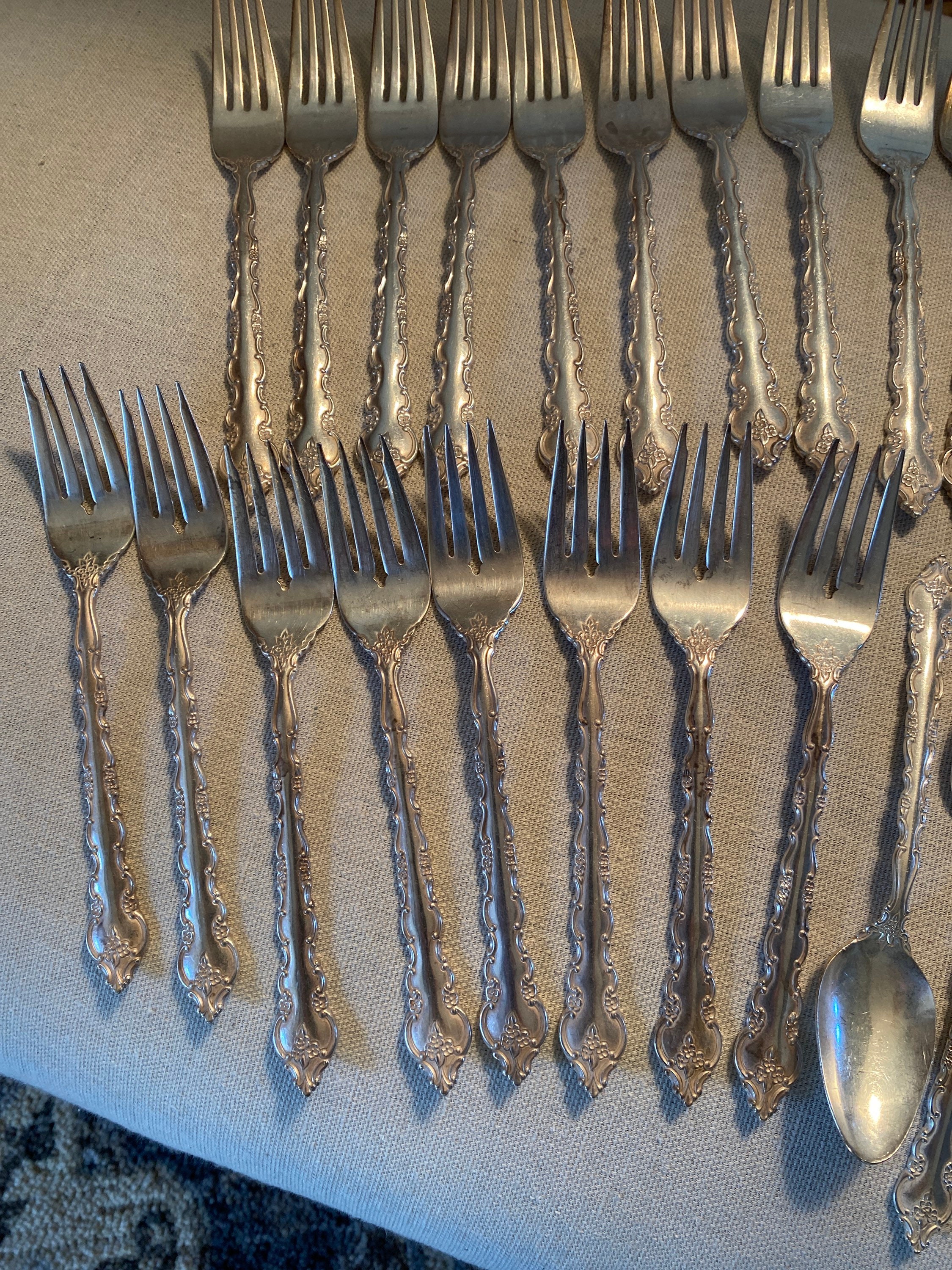 International Deep Silver Delicato Silver Plate 42 Piece Set With