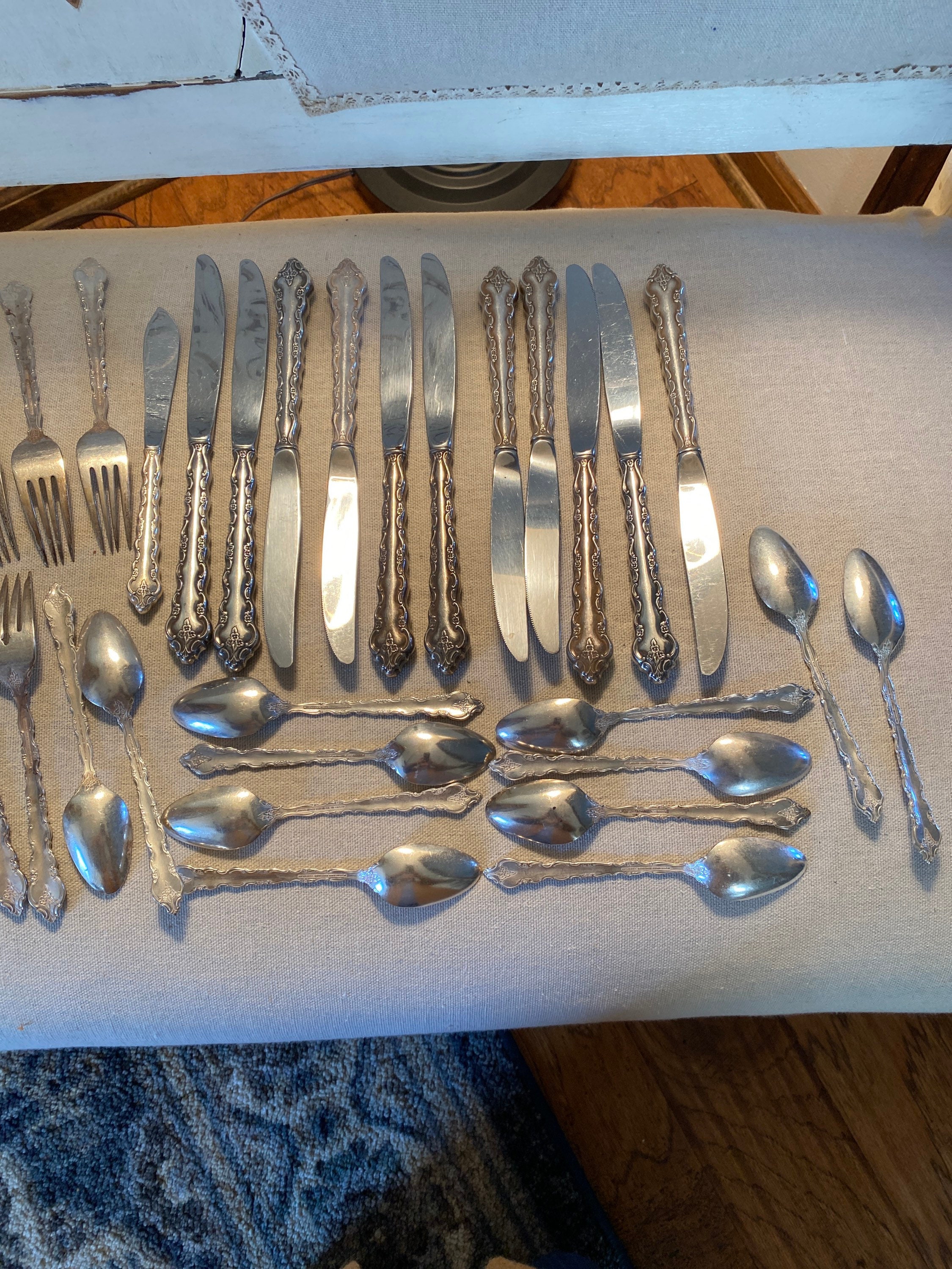 International Deep Silver Delicato Silver Plate 42 Piece Set With