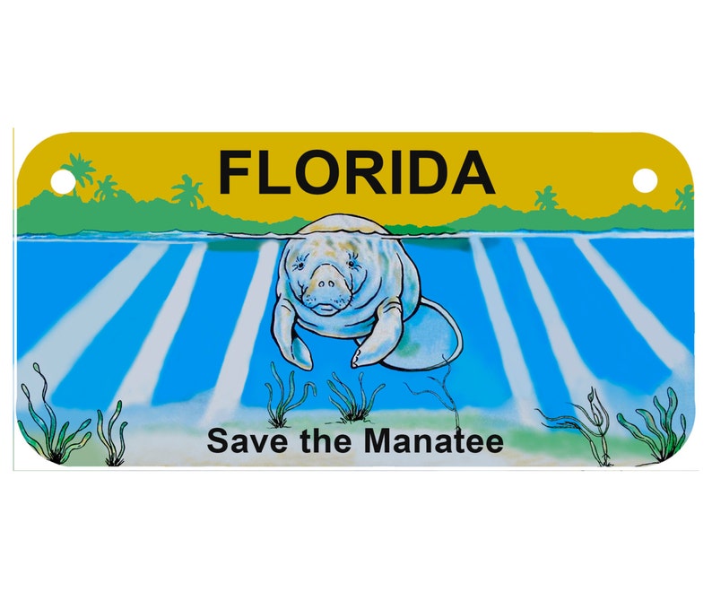 Custom Personalized State License Plate Florida Manatee - Etsy