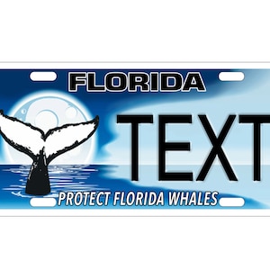 Personalized State License Plate - Florida  Novelty Plate-Printed Flat, 3 sizes