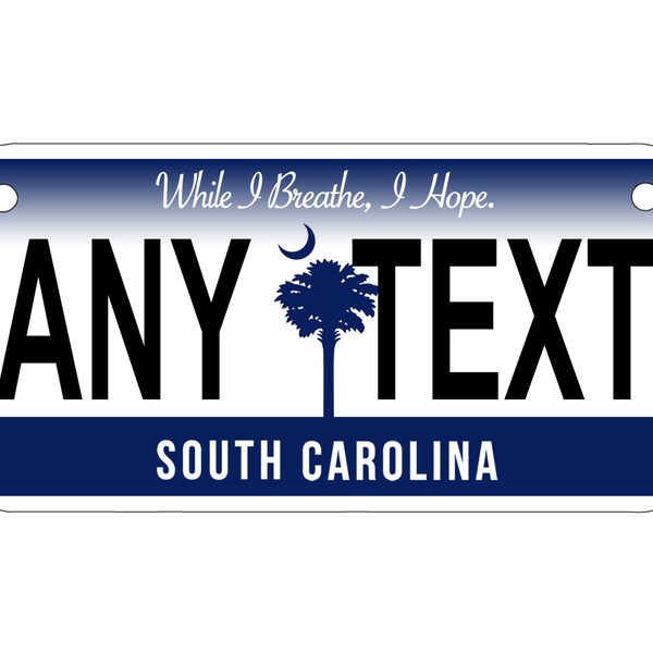 South Carolina License Plate Etsy