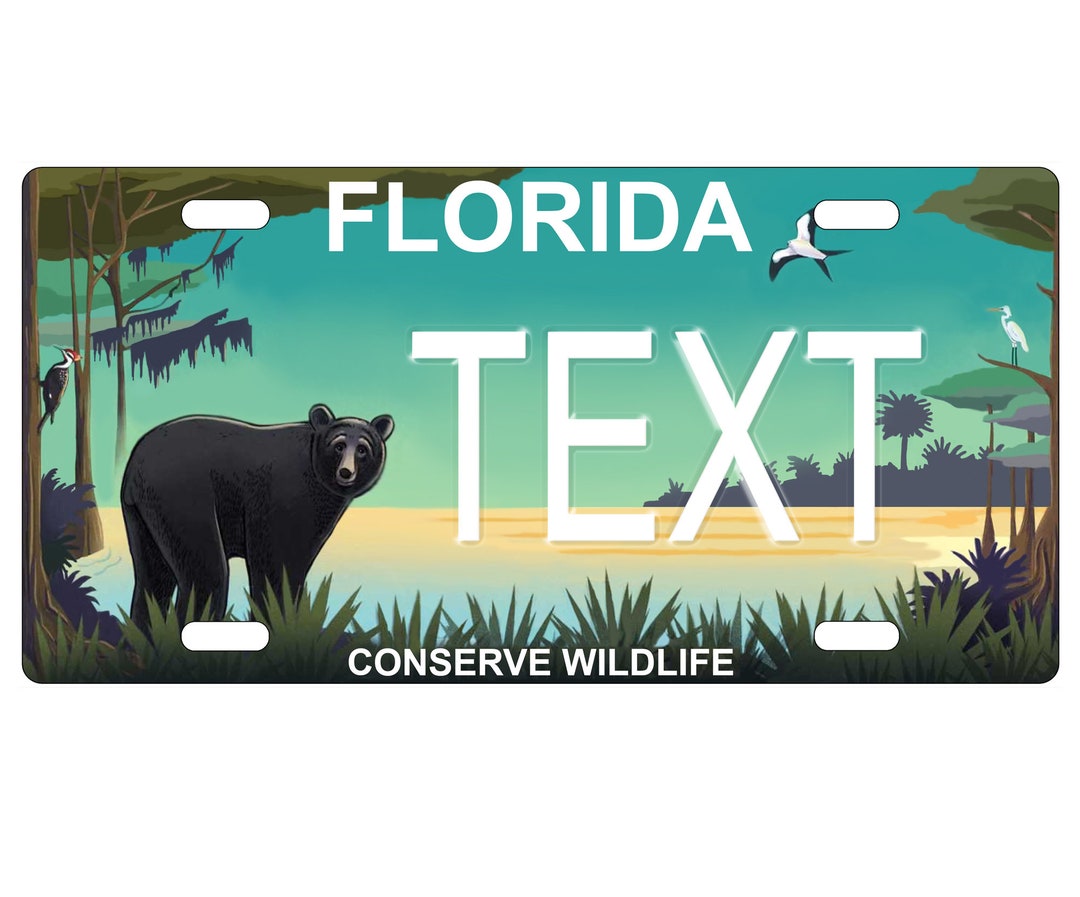 Personalized State License Plate Florida Novelty Plateprinted Flat