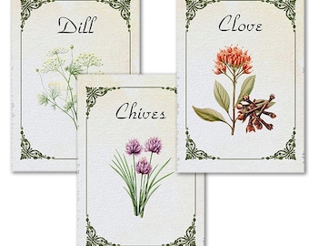 Labels For Your Spice Jars - Set Of 42 Vintage look Colorful Labels Plus 8 Blank Labels. Total of 50 Labels