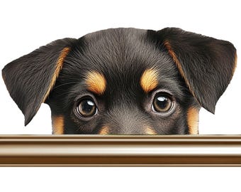 Full Color Vinyl Sticker/Decal. Weather Proof and UV Resistant. Nine Designs of Dogs Peeking