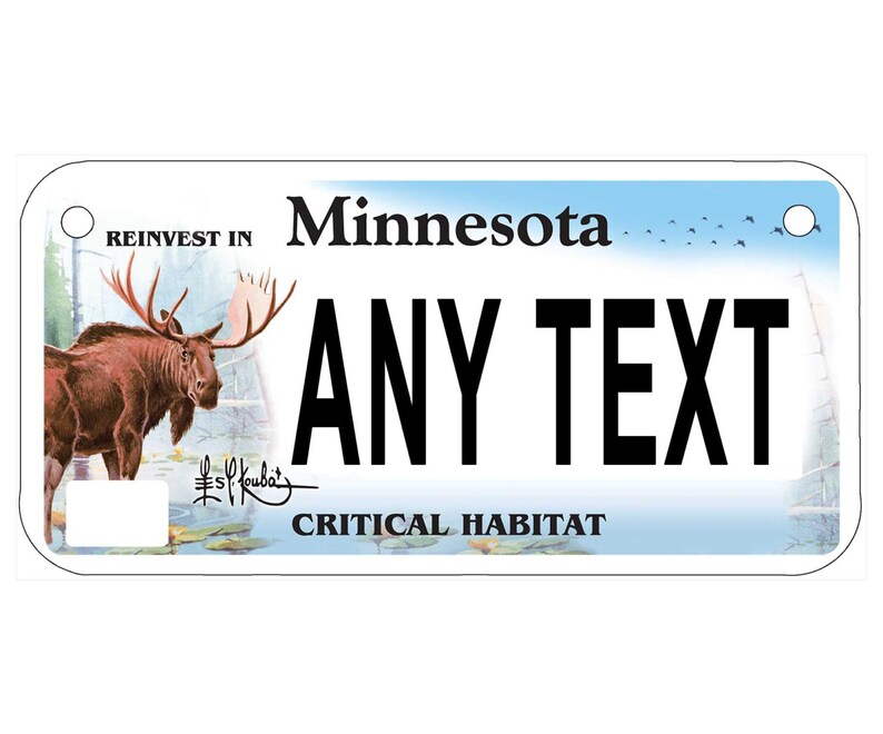 Custom personalized state license plate Minnesota Critical Etsy