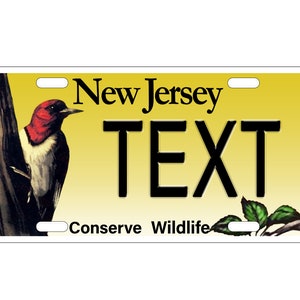 New Jersey Wildlife 
