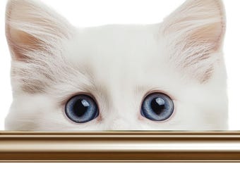 Full Color Vinyl Sticker/Decal. Weather Proof and UV Resistant. Six Designs of Cats Peeking