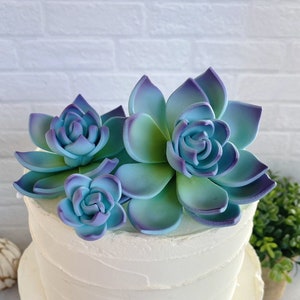 Succulent Cake Topper - Etsy