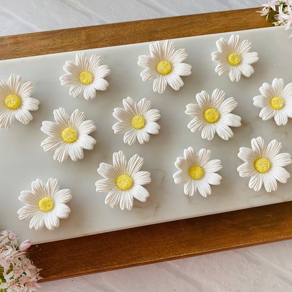 WHITE DAISIES Gum Paste Flower Assortment - 12 Pieces Cupcake or Cake Toppers for Birthdays, Weddings, Mother's Day, or Spring Party