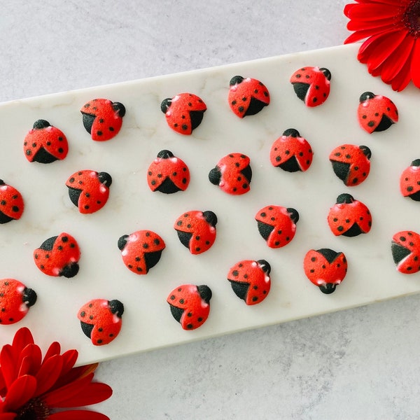 LADYBUGS Edible Sugar Decorations - 24 Pieces Cupcake or Cake Toppers - for Birthdays or Spring Themed Party Decorations