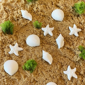 SEASHELLS and STARFISH ASSORTMENT - 12 or 24 Pieces Edible Sugar Cupcake or Cake Toppers - for Summer, Under The Sea or Beach Themed Party
