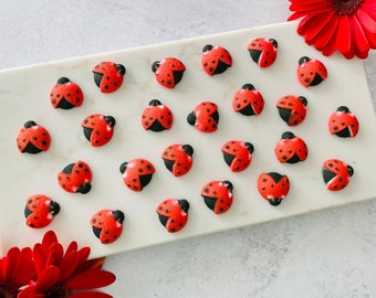 LADYBUGS Edible Sugar Decorations - 24 Pieces Cupcake or Cake Toppers - for Birthdays or Spring Themed Party Decorations