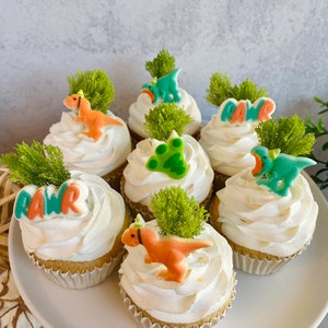 DINOSAUR PARTY Assortment Edible Sugar (12 Pieces)  Cupcake or Cake Toppers - for Birthdays and Dinosaur Themed Party
