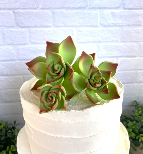 GREEN SUCCULENTS Gum Paste Flower Decorations- 3 Pieces Cake Toppers for  Birthdays, Weddings, Mother's Day Party, Rustic Cake - Etsy