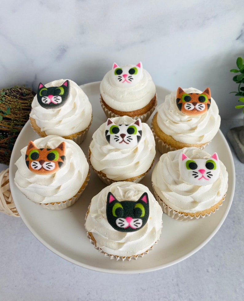 Puede incluir: Seis cupcakes decorados con glaseado blanco y caras de gato de fondant. Los gatos tienen diferentes colores de pelaje, incluyendo negro, blanco, naranja y atigrado.