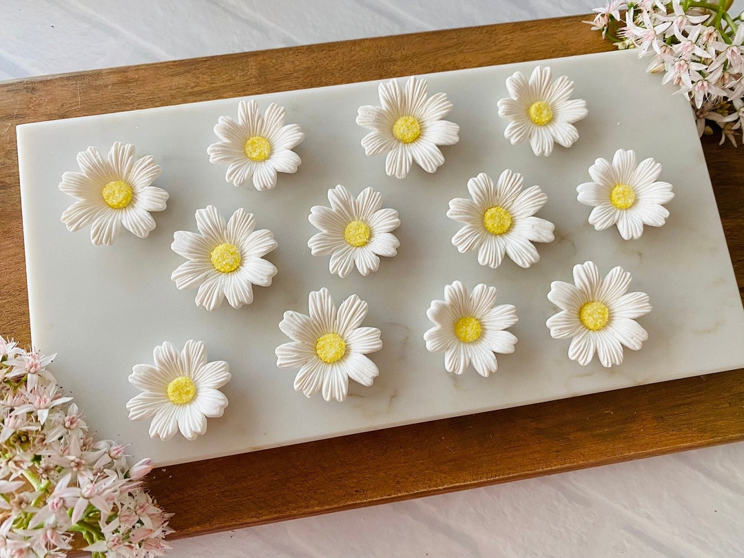WHITE DAISIES Gum Paste Flower Assortment 12 Pieces Cupcake or Cake Toppers for Birthdays