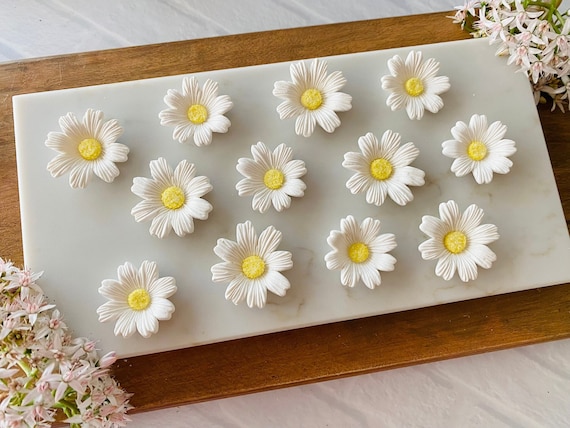 Décorations De Gâteaux: 12 Marguerites Blanc / 12 Edible White Daisies