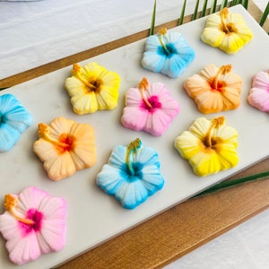 HIBISCUS FLOWER ASSORTMENT 12 Pieces Edible Sugar Decorations - for Summer, Spring, Luau, Birthday Parties and more